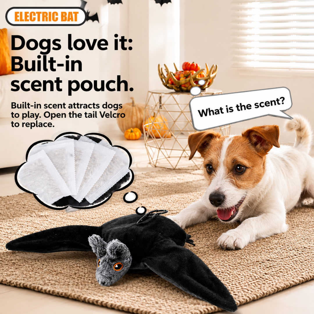 BATY DOGYY™ Flying Bat Toy